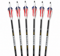 1776 Custom Arrows
